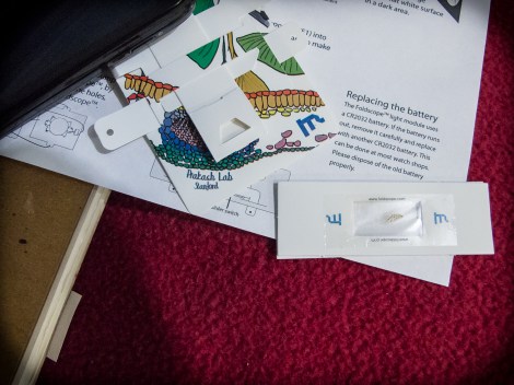 My first slide - some dried up snail eggs. 