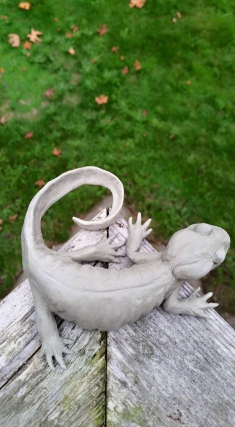 12088468_10153735328702612_5001640379808238638_n(1)