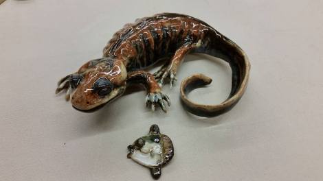 12187722_10153766227647612_1402695094650605944_n