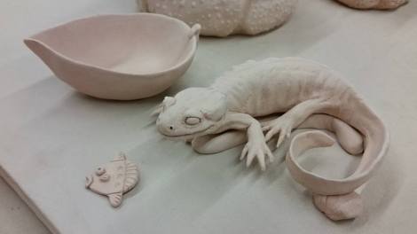 12189558_10153753483732612_2567854021604401154_n