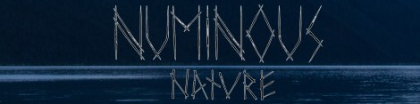 numinousnatureetsybannersmaller1200x300